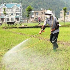 除草劑廠家排名分析，哪些除草劑廠家值得選